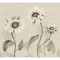 Kuvatapetti Sandberg Sunflowers valkoinen, mittatilaus, non-woven