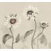 Kuvatapetti Sandberg Sunflowers valkoinen, mittatilaus, non-woven (SBES10529)
