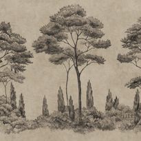Mittatilaustapetti Sandberg Andrea, Graphite (S10694)