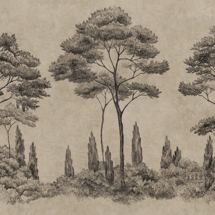 Mittatilaustapetti Andrea, Graphite (S10694)
