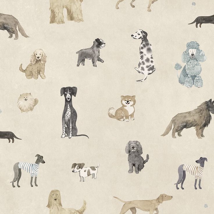 Mittatilaustapetti Taiga and Friends, Beige, beige (S10706)