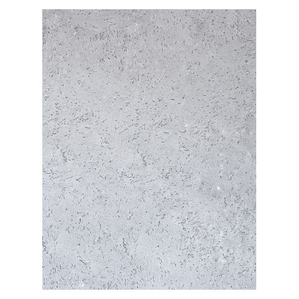 Sisustuslaasti SBL Cameleo Concrete Rough Classic Effect, kuivan tilan seinään, 6,5m²