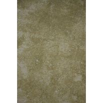 Struktuurimaali SBL Cameleo Manhattan Light, kuivan tilan seinään, 15m², vihreä