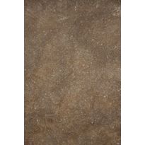 Struktuurimaali SBL Cameleo Manhattan Light, kuivan tilan seinään, 15m², pronssi