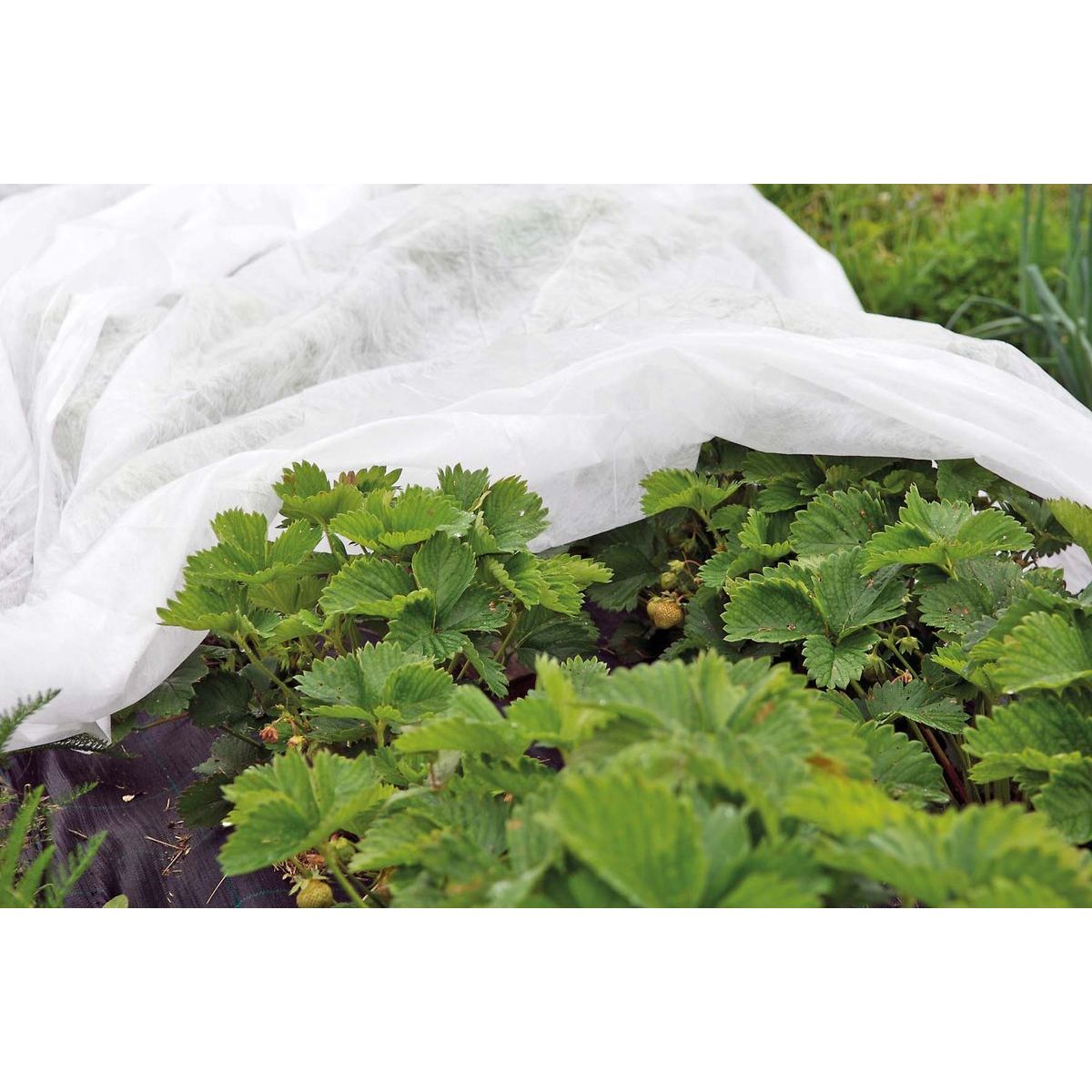 Peiteharso Viheraarni, 17g, 6,35x250m, taitettu 1,6m