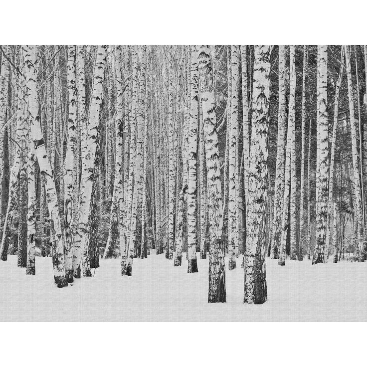 Metsätapetti A.S. Creation THE WALL 38259-1, 371x280cm, mustavalkoinen