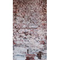 Kuvatapetti A.S. Creation THE WALL 38335-1, 159x280cm, ruskea