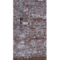 Kuvatapetti A.S. Creation THE WALL 38337-1, 159x280cm, ruskea
