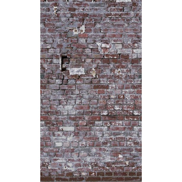 Kuvatapetti A.S. Creation THE WALL 38337-1, 159x280cm, ruskea