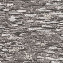 Tapetti Galerie Evergreen 7336-7337