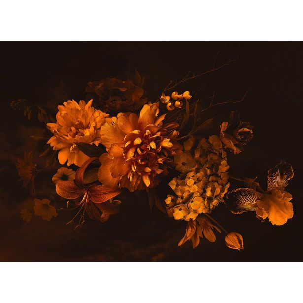 Kuvatapetti A.S. Creation Designwalls Blossom Variet, 350x255cm