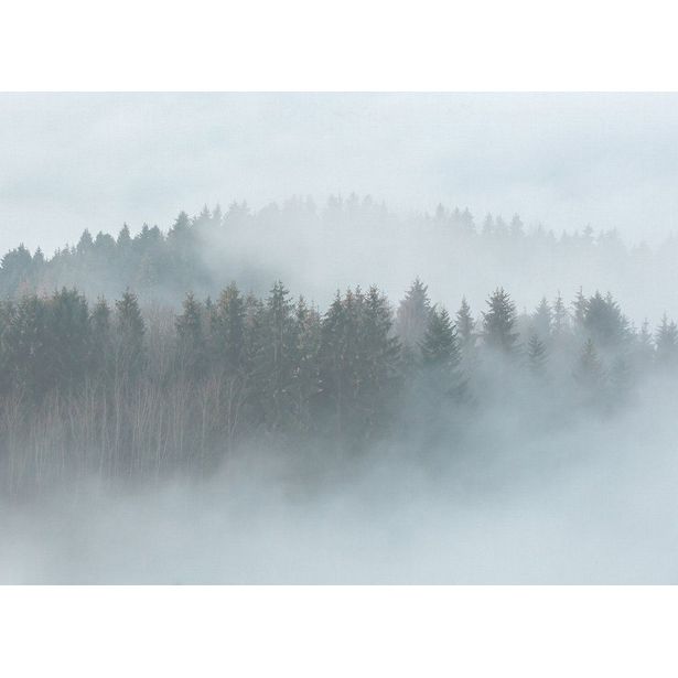 Kuvatapetti A.S. Creation Designwalls Misty Forest, 350x255cm, harmaa