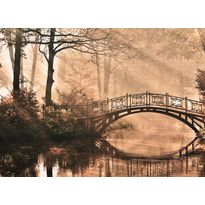 Kuvatapetti A.S. Creation Designwalls Park Bridge, 350x255cm