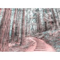 Kuvatapetti A.S. Creation Designwalls Forest Walk, 350x255cm