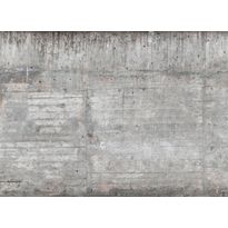 Kuvatapetti A.S. Creation Designwalls Concrete Wall 2, 350x255cm, harmaa