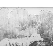 Kuvatapetti A.S. Creation Designwalls Brittle Wall, 350x255cm, harmaa