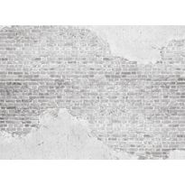Kuvatapetti A.S. Creation Designwalls Old Brick Wall, 350x255cm, harmaa