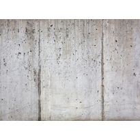 Kuvatapetti A.S. Creation Designwalls Concrete Wall, 350x255cm, harmaa