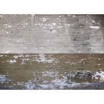 Kuvatapetti A.S. Creation Designwalls Concrete Coated, 350x255cm, harmaa