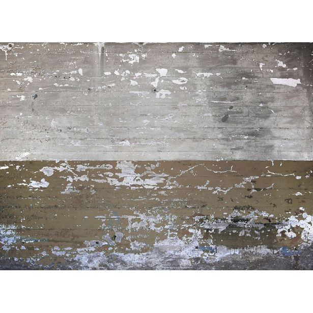 Kuvatapetti A.S. Creation Designwalls Concrete Coated, 350x255cm, harmaa
