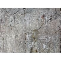 Kuvatapetti A.S. Creation Designwalls Old Concrete, 350x255cm, harmaa