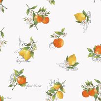 Tapetti Galerie Just Kitchens Citrus Toss