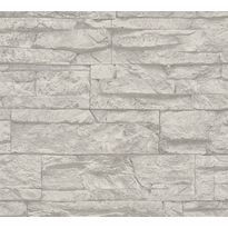 Tapetti A.S. Creation Best of Wood&#039;n Stone II D T71XX