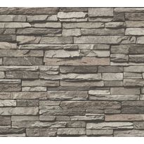 Tapetti A.S. Creation Best of Wood&#039;n Stone II B T83XX