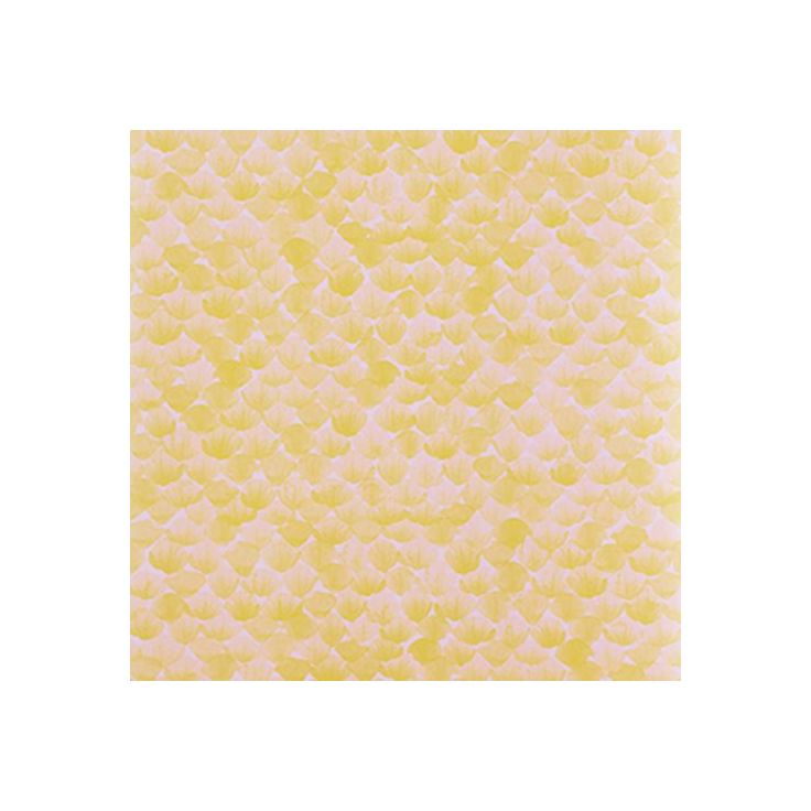 Tapetti Mimou WP2409-10