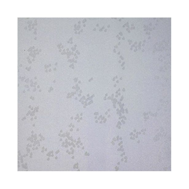 Tapetti Mimou WP2106-08