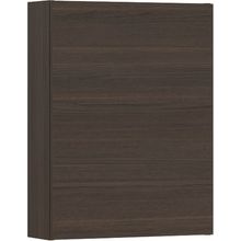 Seinäkaappi Temal, vasenkätinen, 40x17x65.5 cm, ruskea saarni