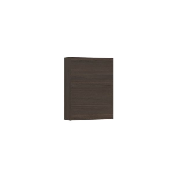 Seinäkaappi Temal, 2 ovea, 50x17x65.5 cm, valkoinen
