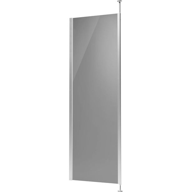 Kiinteä suihkuseinä Tammiholma POLE, 700x1900 mm, savulasi
