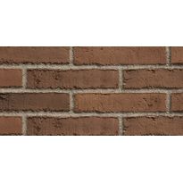 Ruukintiili ruskeanmusta