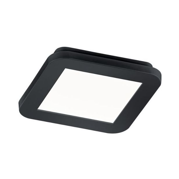 LED-plafondi Trio Camillus, 17x17 cm, mattamusta