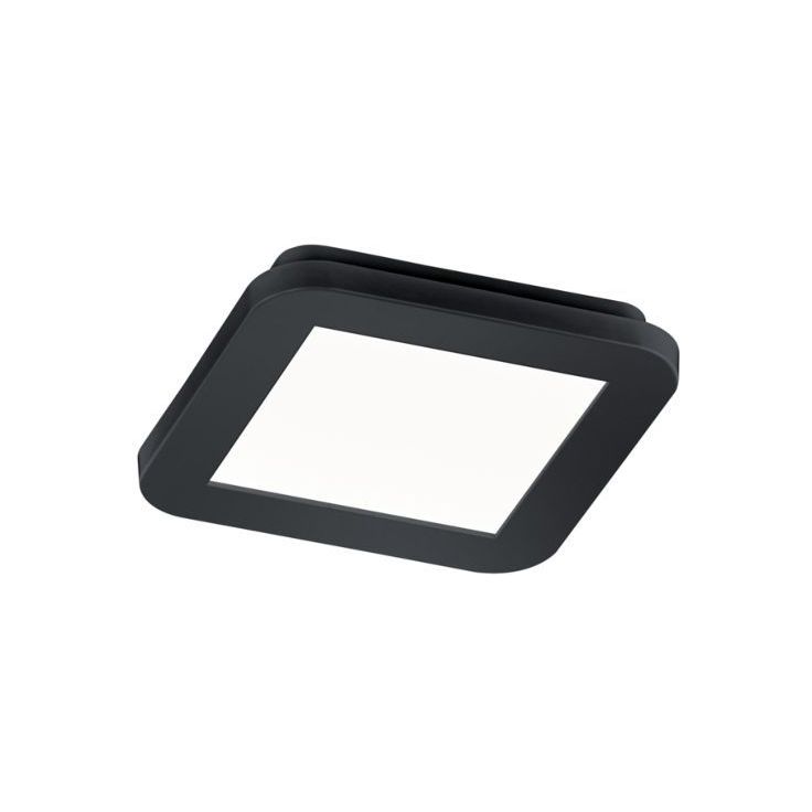 LED-plafondi Trio Camillus, 17x17 cm, mattamusta