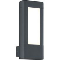 LED-seinävalaisin Trio Rhine 250x110x100 mm, antrasiitti