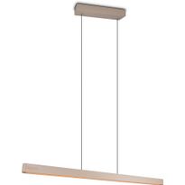 Riippuvalaisin Trio Donegal LED säädettävä värilämpötila