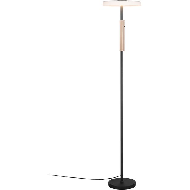 LED-lattiavalaisin Trio Celeste
