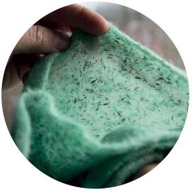 Nurmikon siemenmatto Turfquick Extra Grön, 40 m²