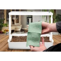 Timjamin siemenet Turfquick, kasvualustalla