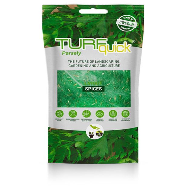 Persiljan siemenet Turfquick, kasvualustalla