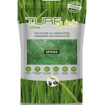 Ruohosipulin siemenet Turfquick, kasvualustalla