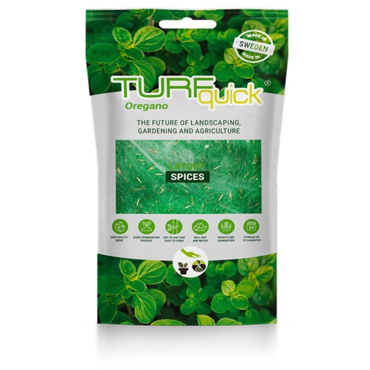 Oreganon siemenet Turfquick, kasvualustalla