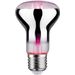 LED-kasvilamppu Paulmann Grow Green Edition Reflector, E27, R63, 200lm, 6.5W, 1300K, hopea