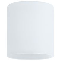 Lasikupu Paulmann DecoSystems Zyli Ø 70x80 mm valkoinen