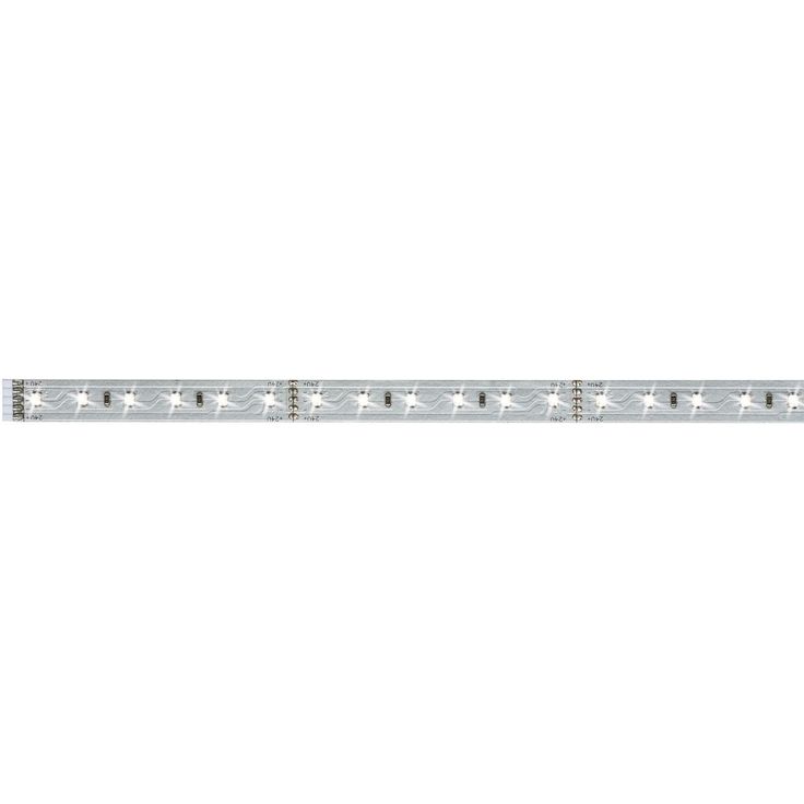 LED-valonauha Paulmann MaxLED 500, 1m, 6W, 550lm/m, 6500K