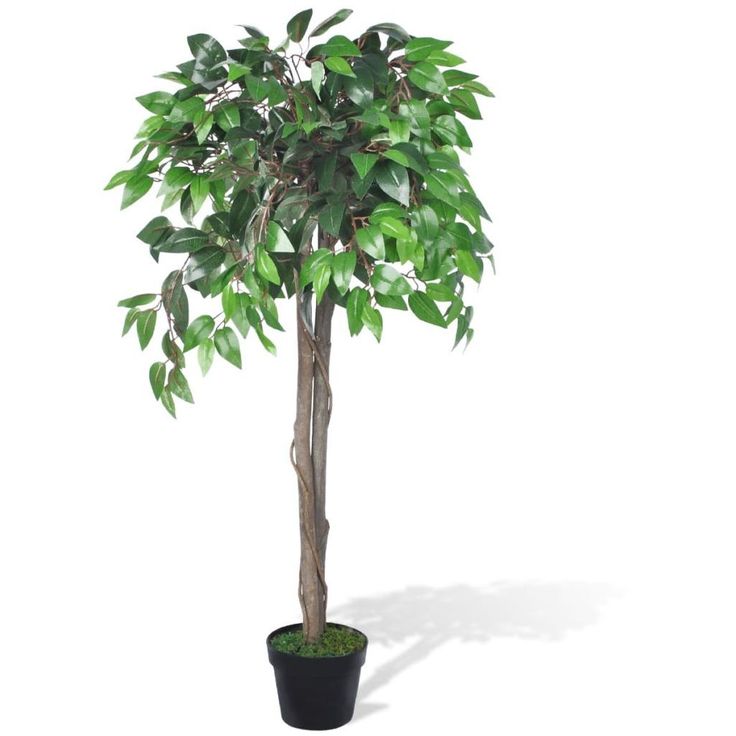 Tekokasvi fiikuspuu ruukussa 110 cm_1