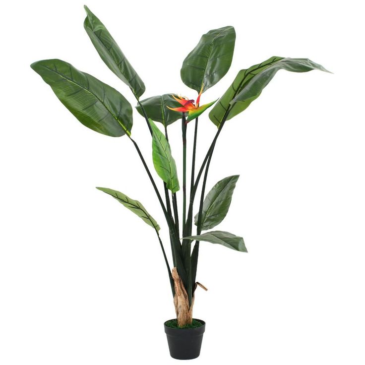 Tekokasvi helokolibrikukka 155 cm_1