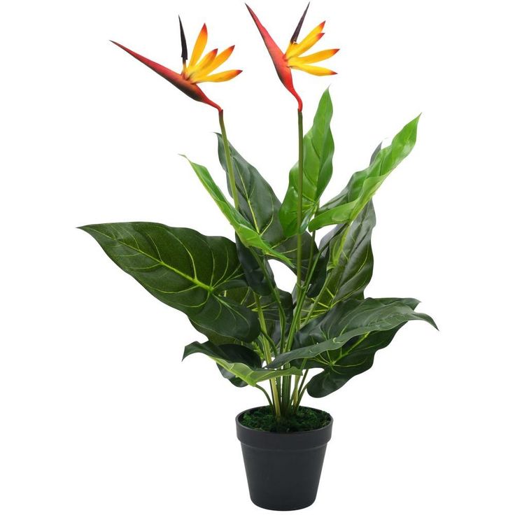 Tekokasvi helokolibrikukka 66 cm_1